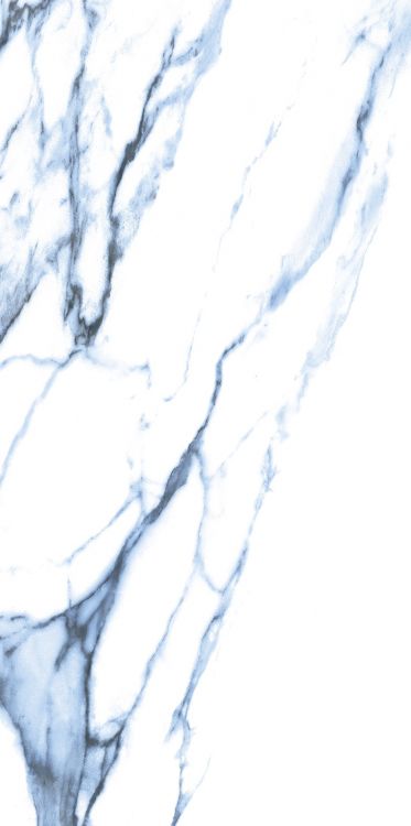 Calacatta Blue Matte 12 x 24
